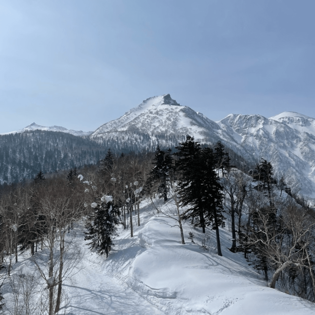 屋上展望台からの景色