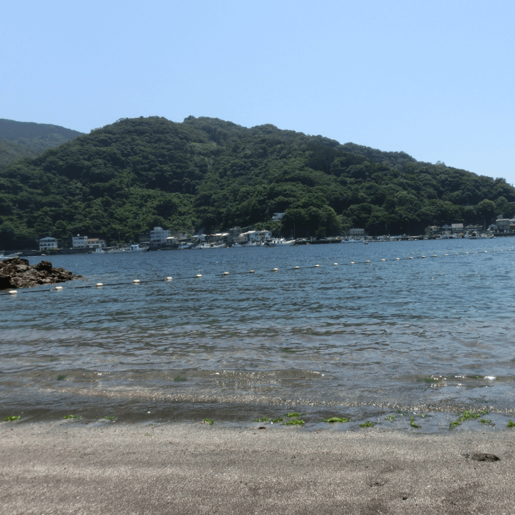 透明度ばつぐん!