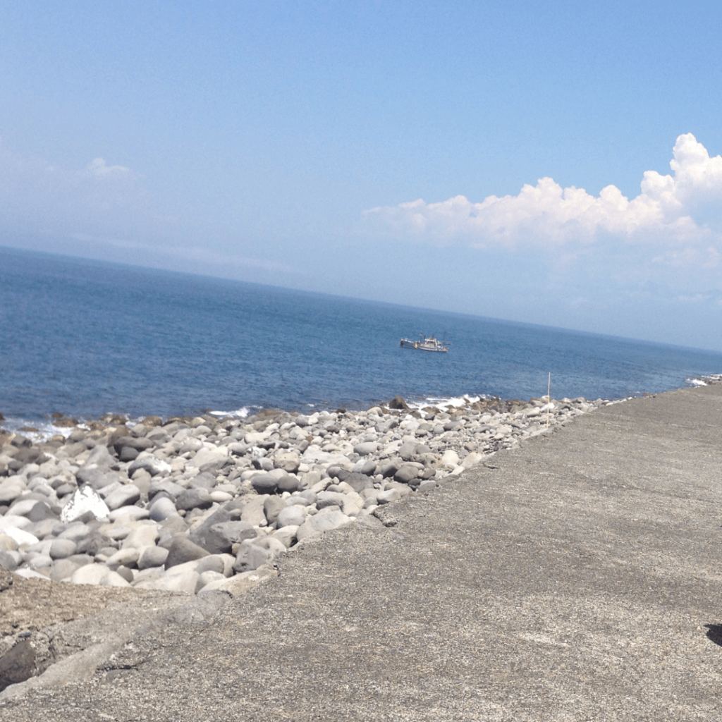 遊歩道からの景色