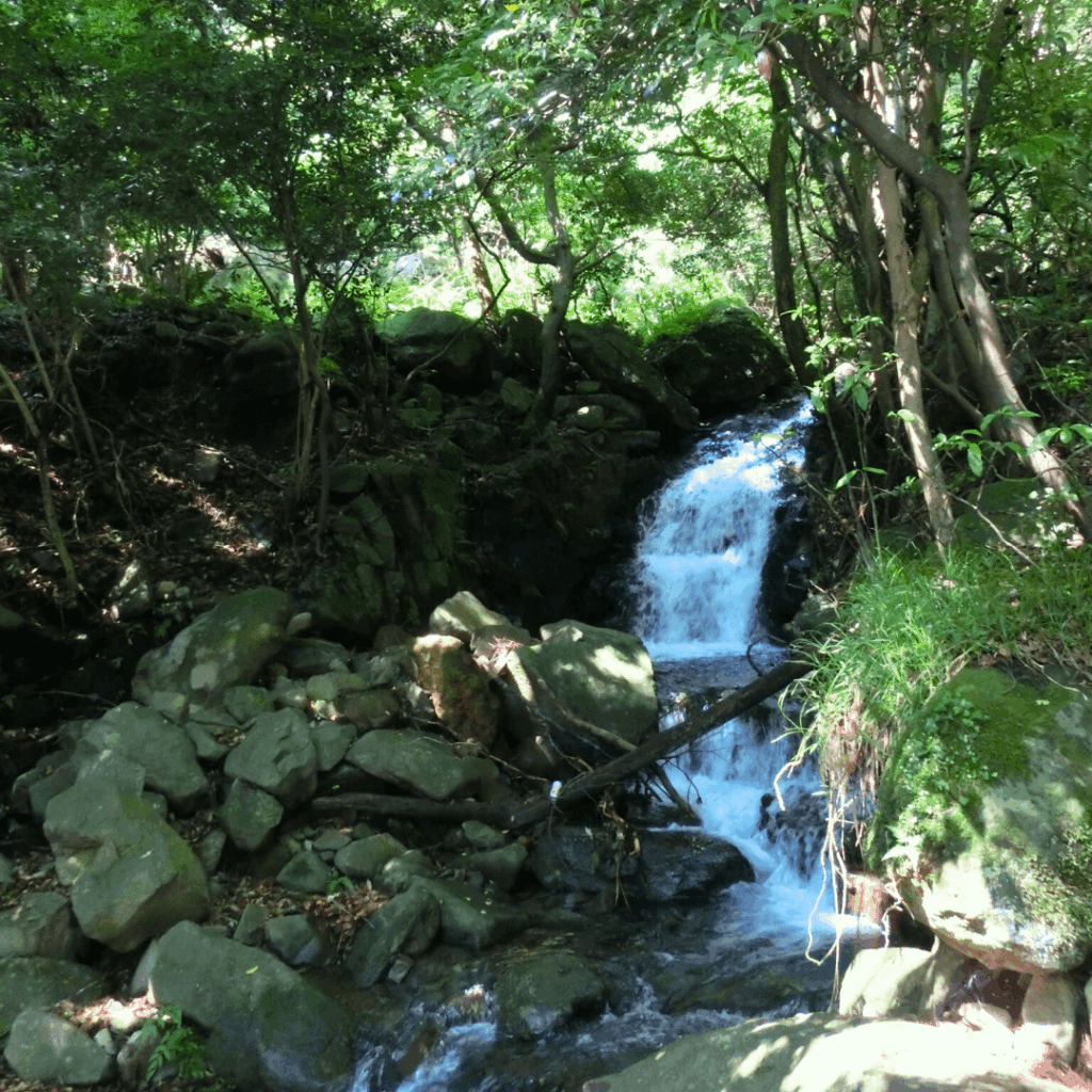 よしの滝