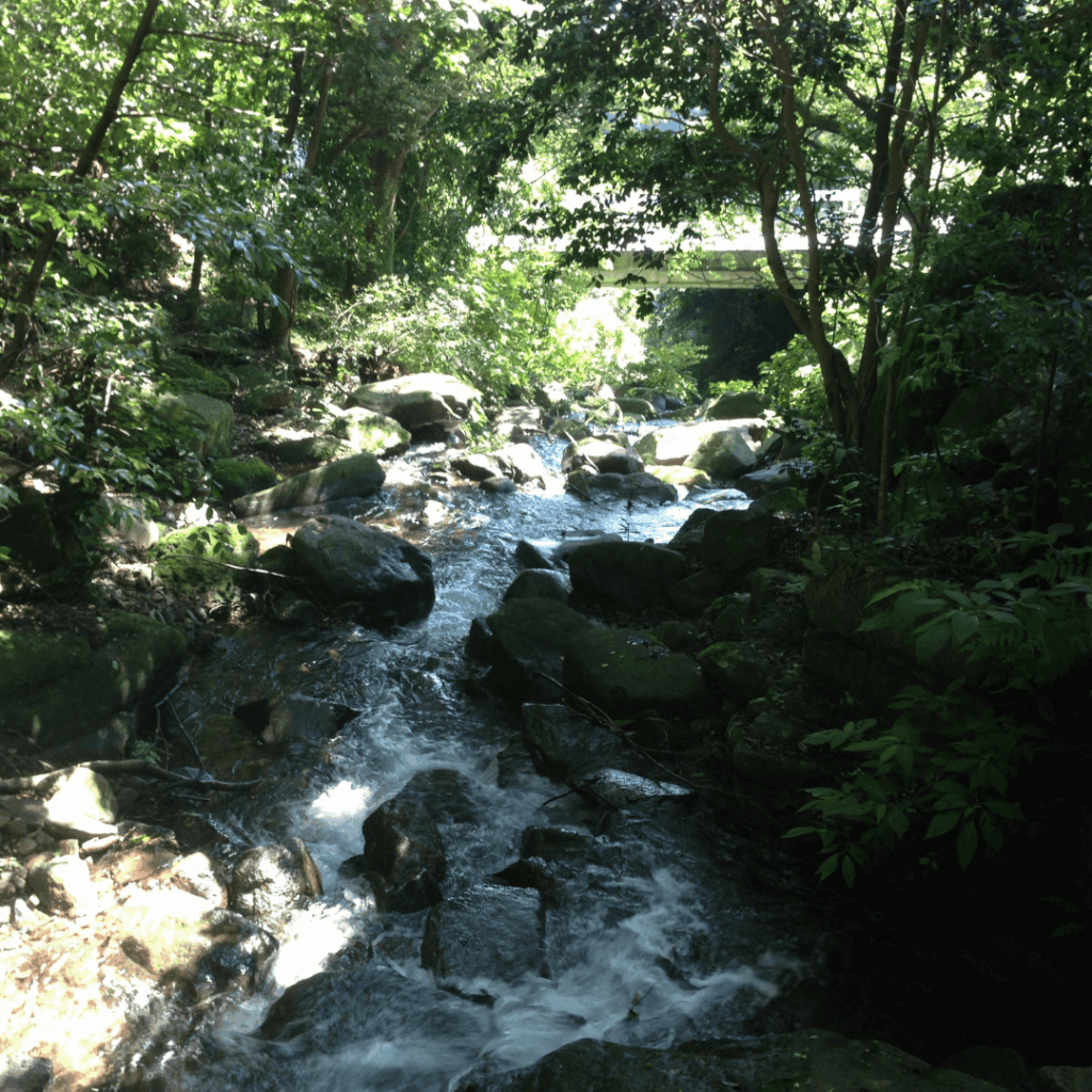 よしの滝の先