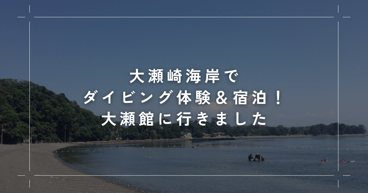 大瀬崎海岸でダイビング体験＆宿泊！大瀬館に行きました