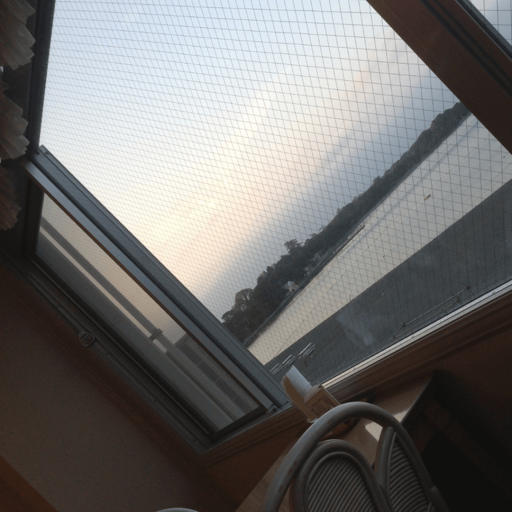ご飯を食べる所からも海が見えます