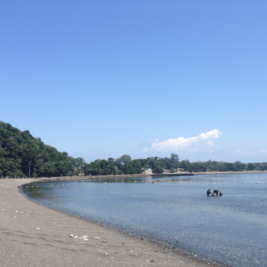 大瀬崎海岸