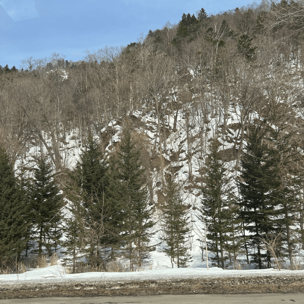 グッバイ大雪山