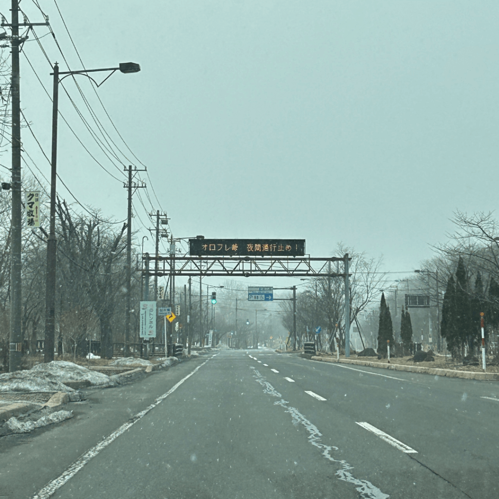 雪が降ってきました