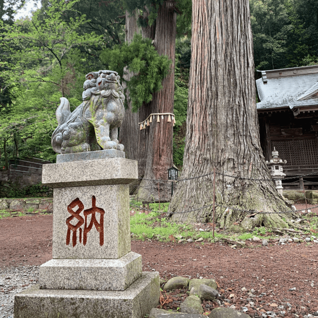 日枝神社の狛犬さん(左)