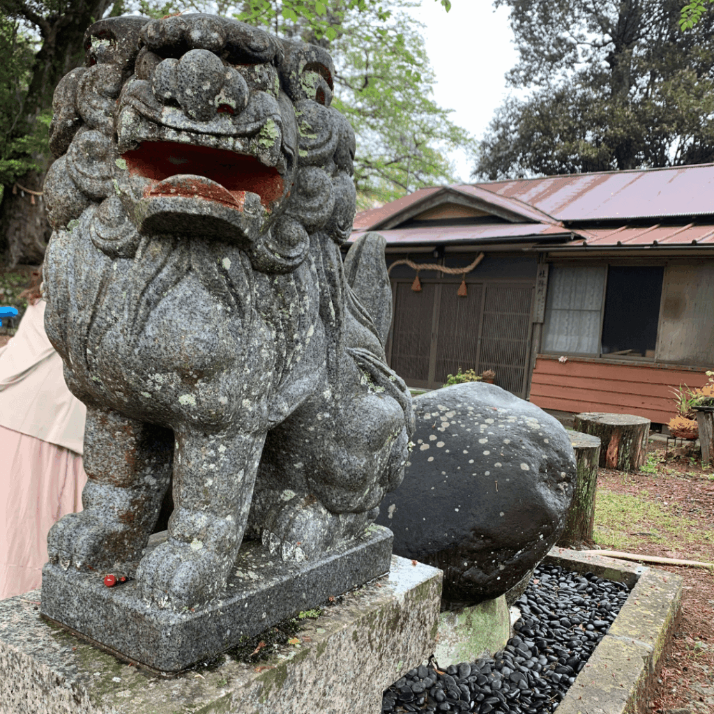 狛犬さん
