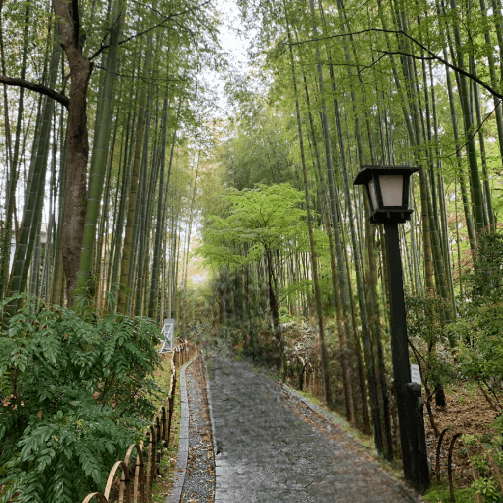 竹林の小径