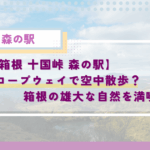 箱根 十国峠 森の駅！ケーブルカーで空中散歩？箱根の雄大な自然を満喫！