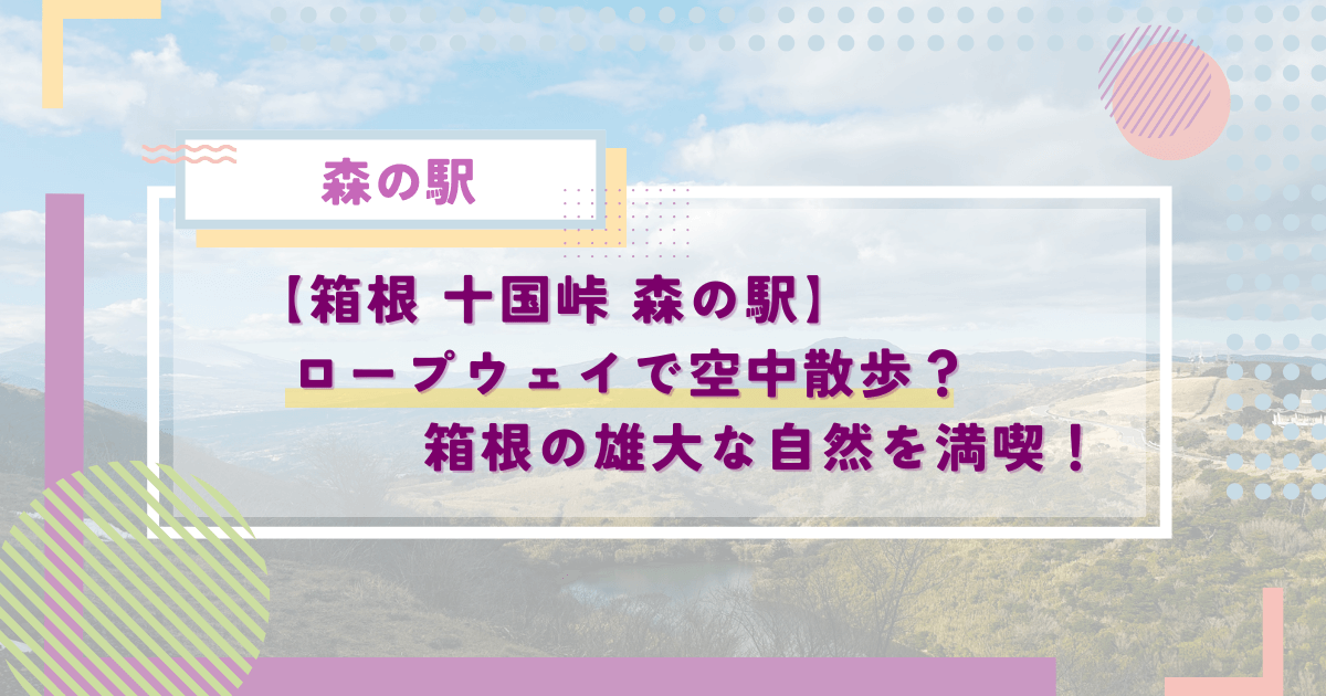 箱根 十国峠 森の駅！ケーブルカーで空中散歩？箱根の雄大な自然を満喫！