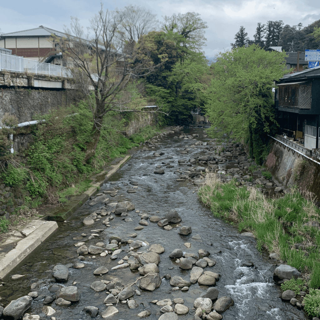 桂川~