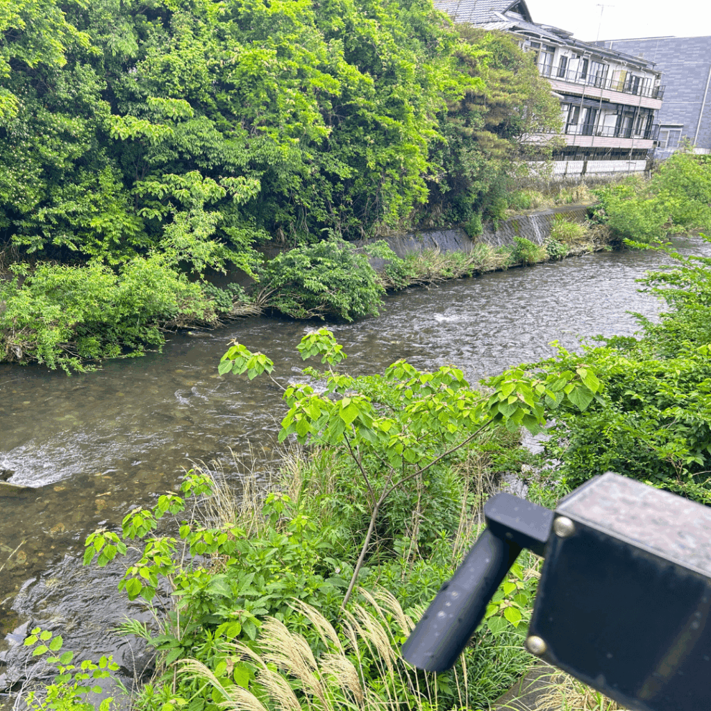 雨の後でもきれいな川ですね