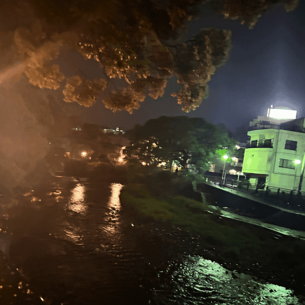 夜の松川の景色