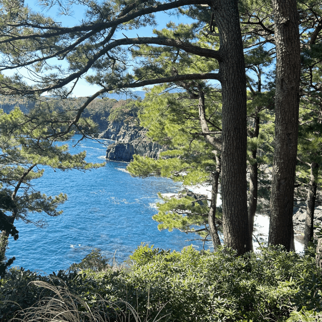 灯台のふもとあたりで撮影
