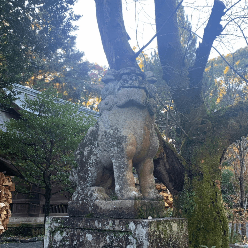 報徳二宮神社の狛犬さん(左)