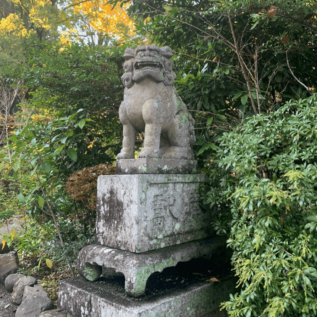 報徳二宮神社の狛犬さん(右)