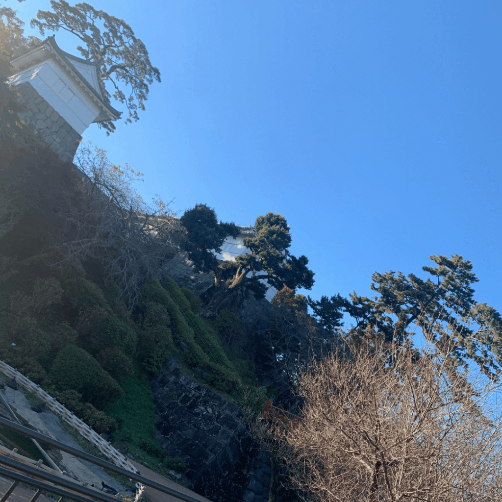 小田原城址公園散歩