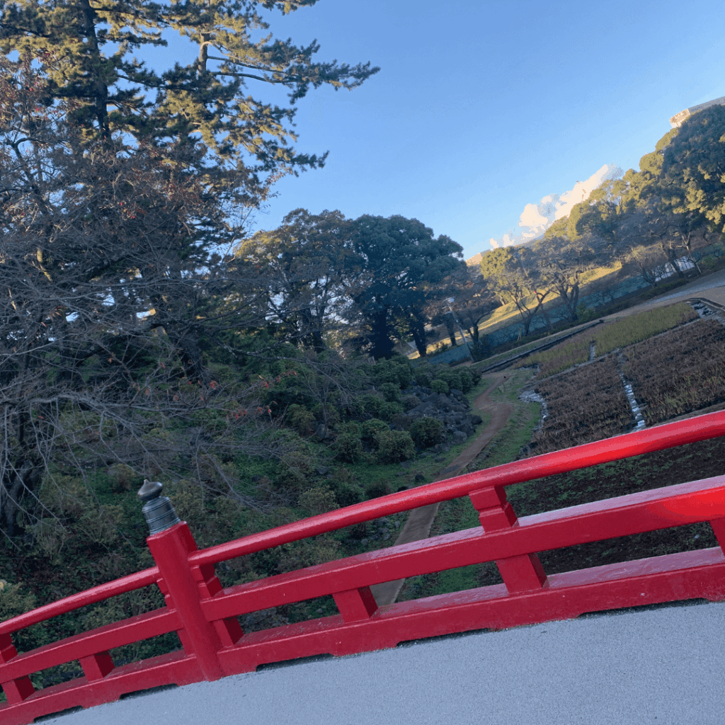 小田原城址公園散歩②
