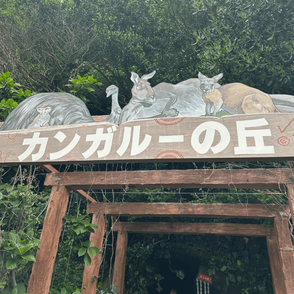 カンガルーの丘の入口