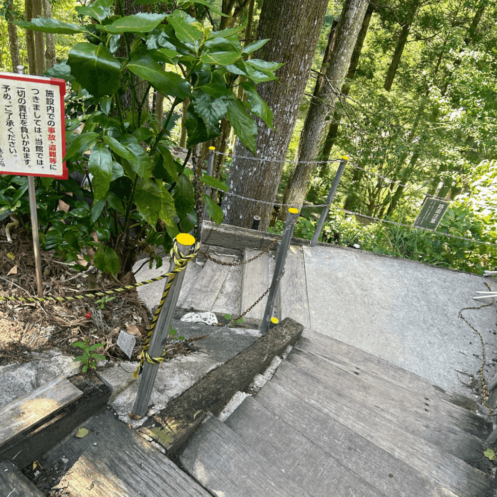 ここから滝に向かいました!