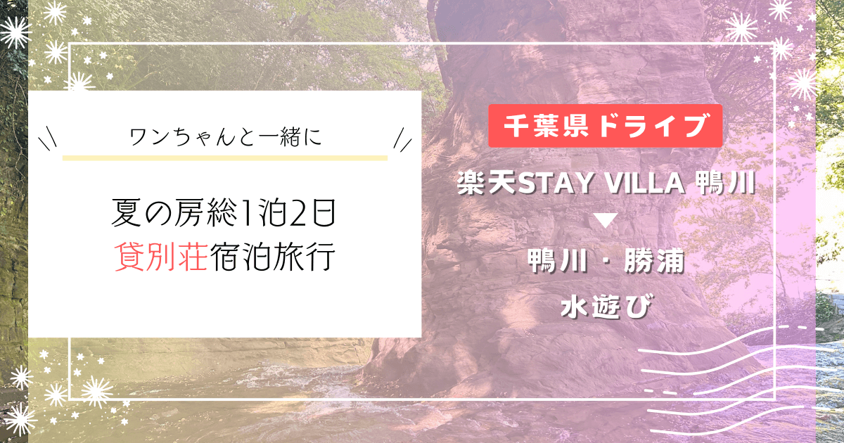 南房総水遊び旅行！ワンちゃんと一緒に夏の房総1泊2日貸別荘宿泊旅行