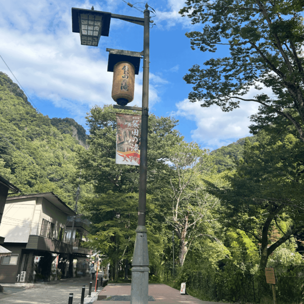 街灯も馴染んでて好き！