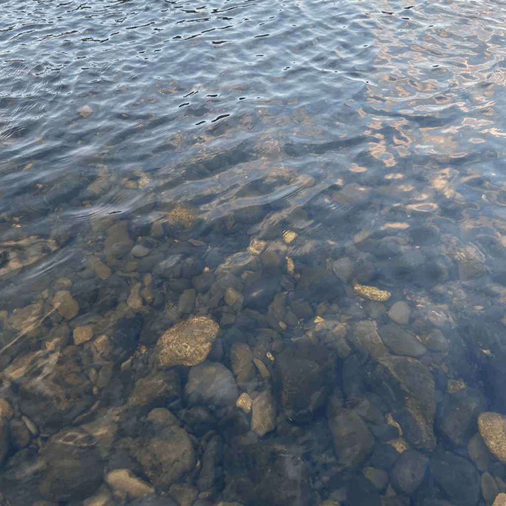 こんな感じできれいな水です！