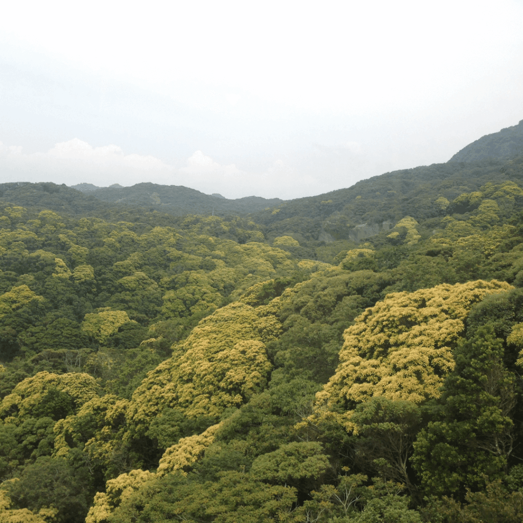 見晴らし台から見た山々