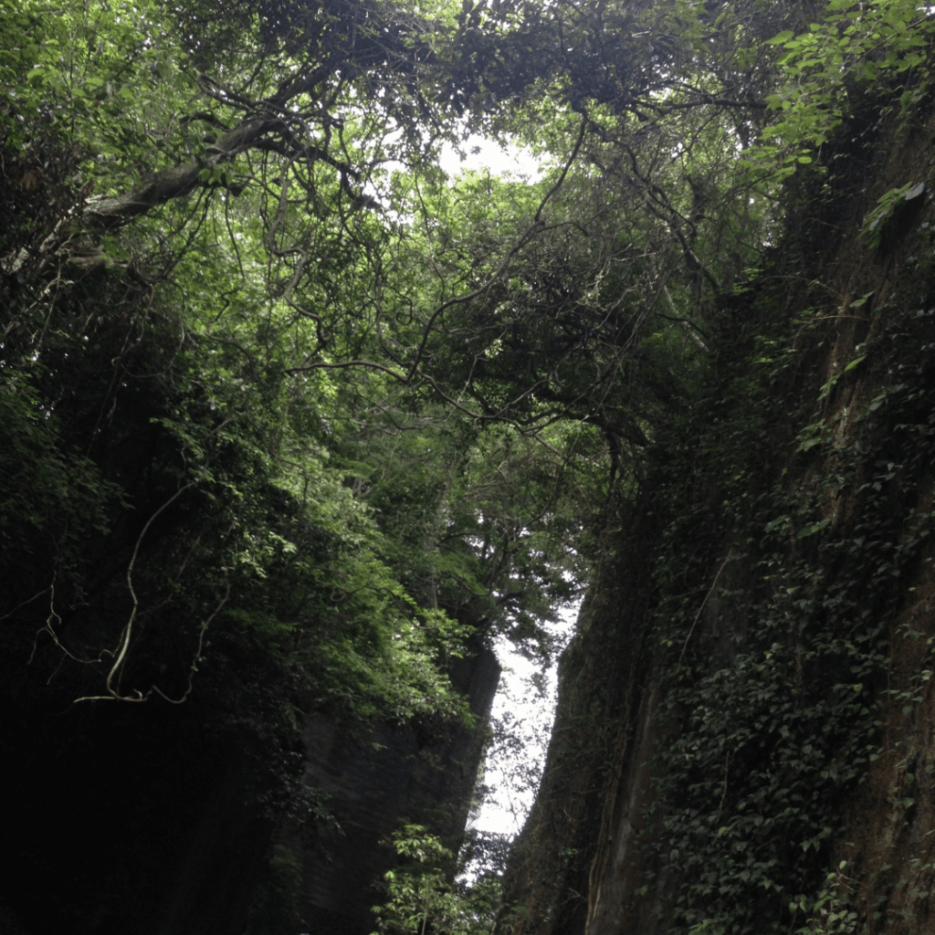 歩いていて見とれる景色