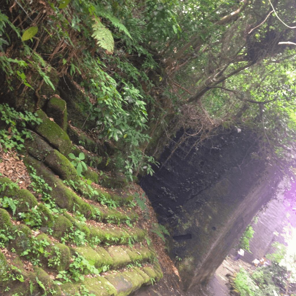 苔むした感じも素敵です
