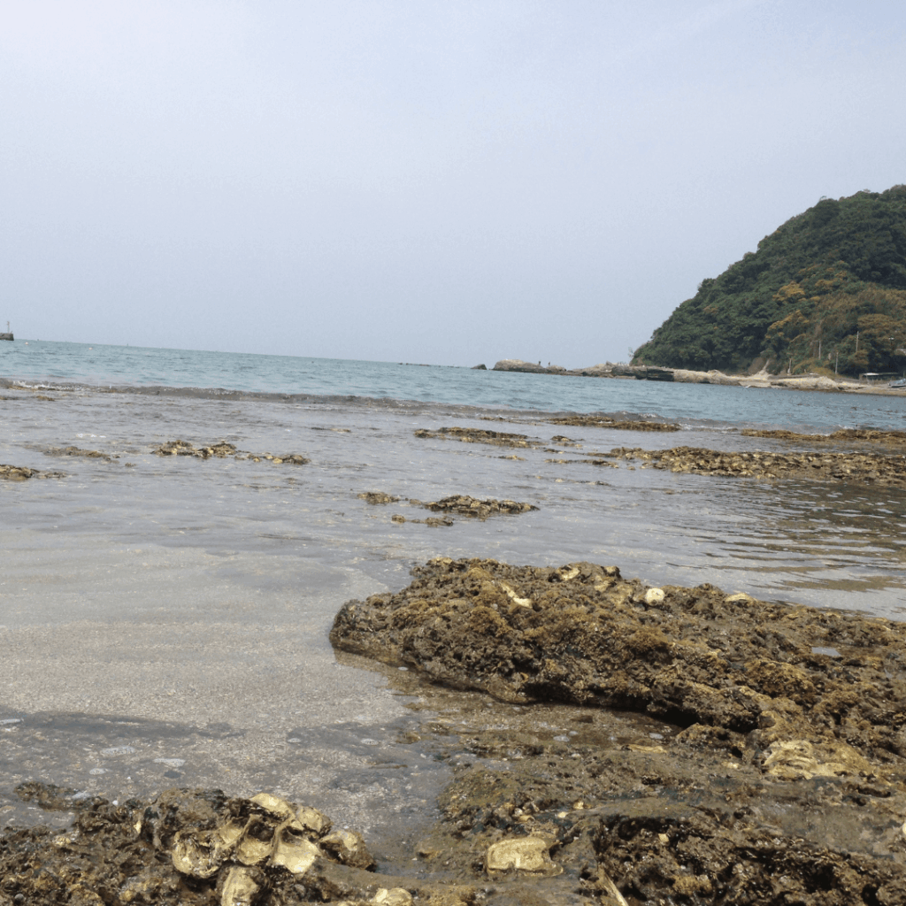 良い浜辺