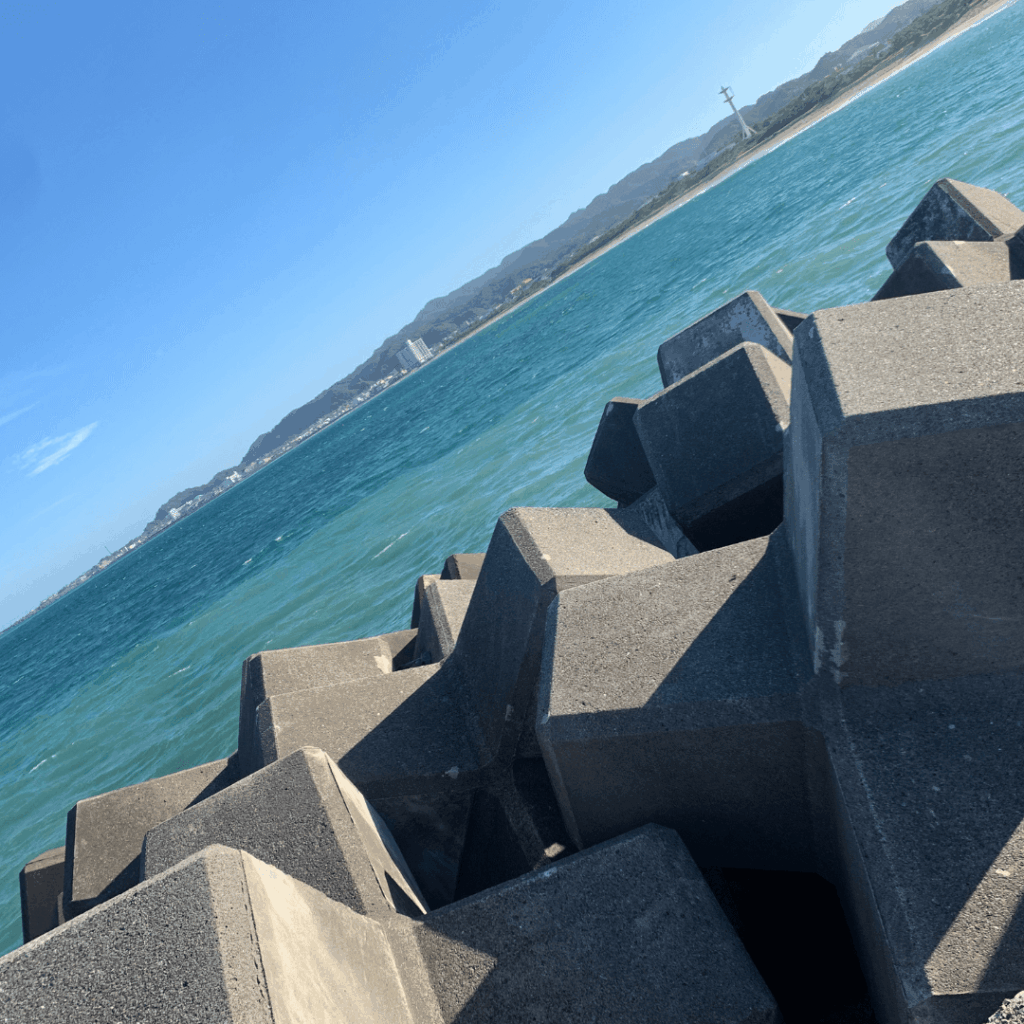 海に来ました!