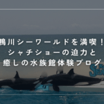 鴨川シーワールドを満喫！シャチショーの迫力と癒しの水族館体験ブログ