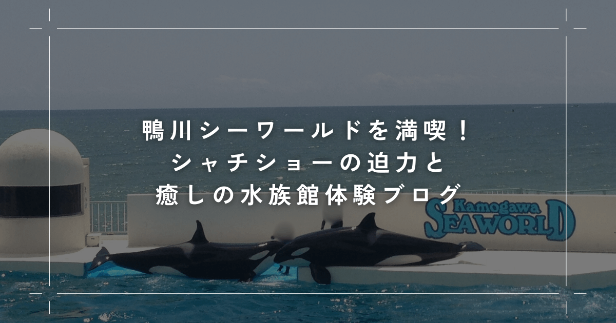 鴨川シーワールドを満喫！シャチショーの迫力と癒しの水族館体験ブログ