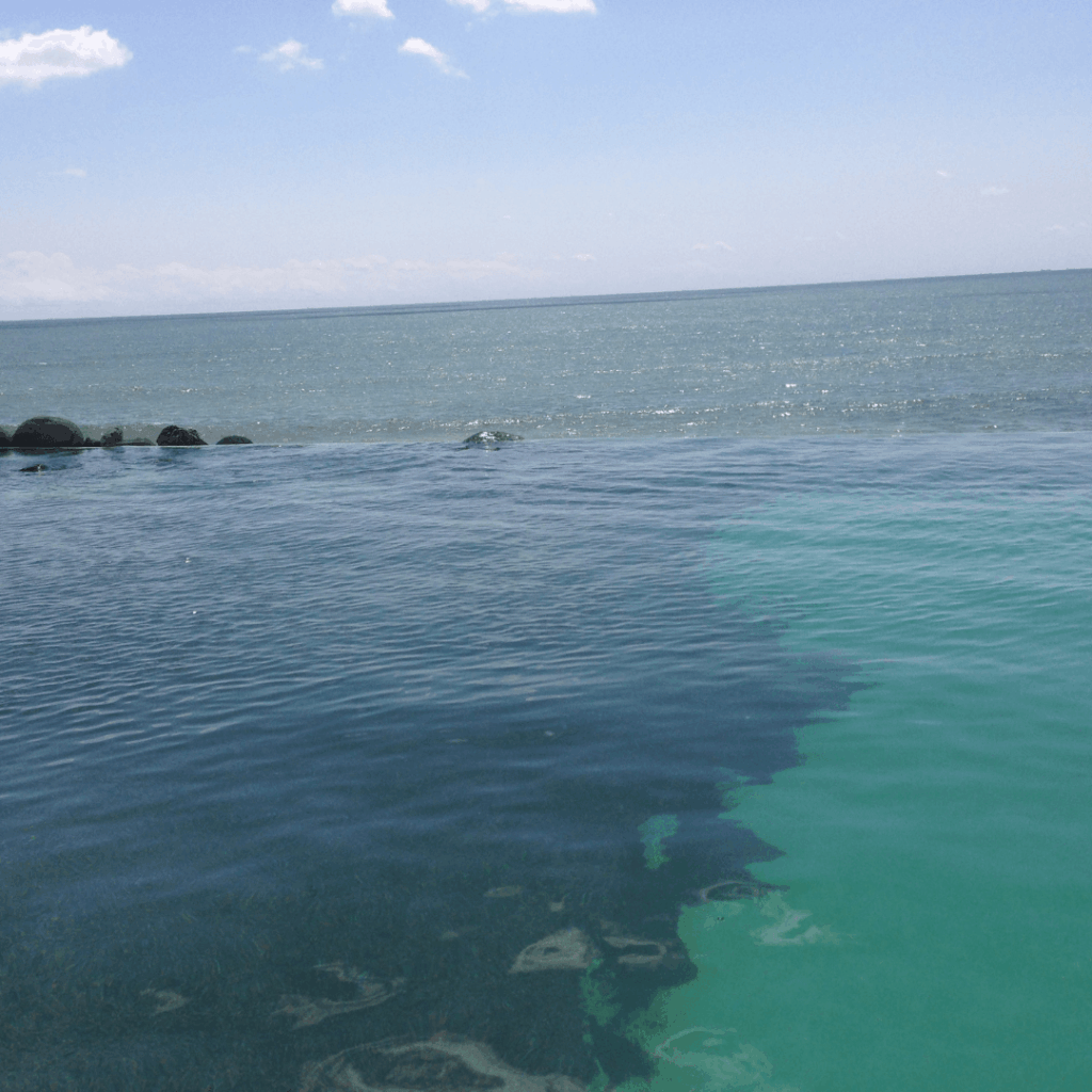 水槽と海の境目がないみたい