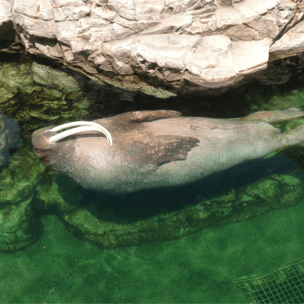 気持ちよさそう