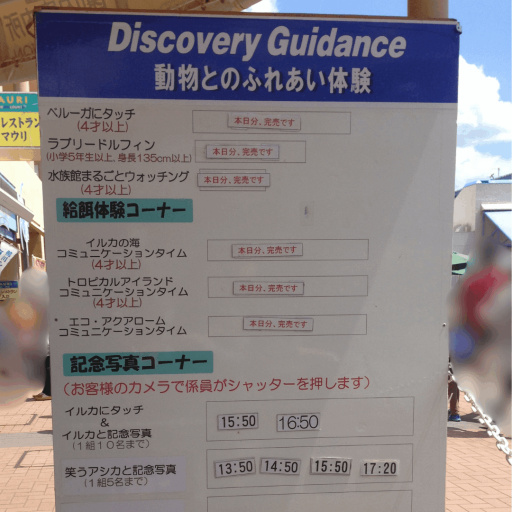 こんな感じの体験案内！