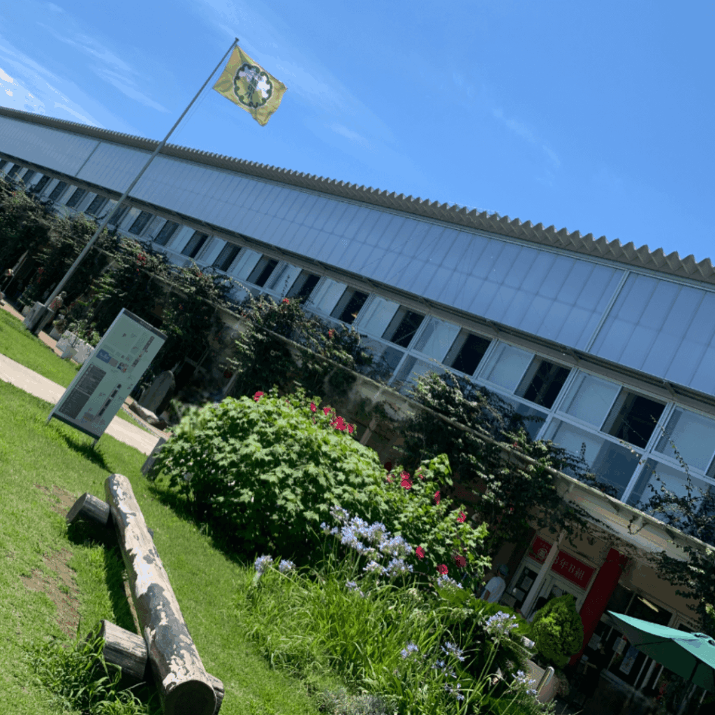 保田小学校の校舎