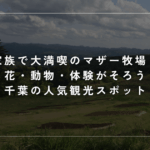 家族で大満喫のマザー牧場！花・動物・体験がそろう千葉の人気観光スポット