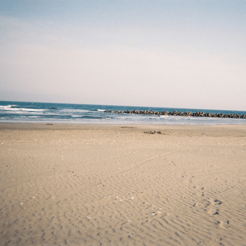 使い捨てカメラで撮りました