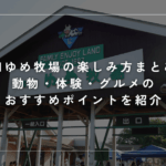 成田ゆめ牧場の楽しみ方まとめ！動物・体験・グルメのおすすめポイントを紹介