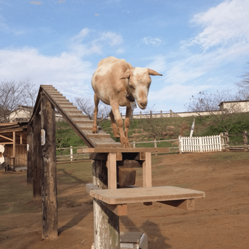 おかえりなさい！