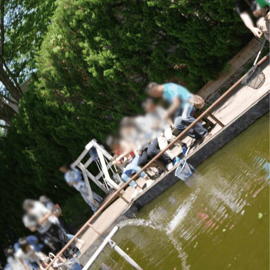 釣りはこんな感じです！