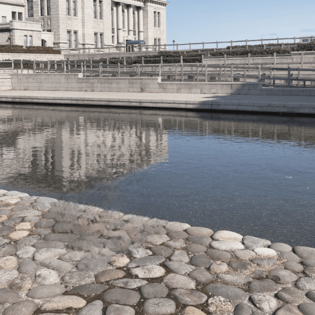 水面に反射している景色も良いですね