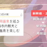 新潟・月岡温泉を巡る2泊3日の旅｜冬の新潟市内観光とグルメ、温泉を楽しむ