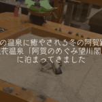 3色の温泉に癒やされる冬の阿賀路旅｜咲花温泉「阿賀のめぐみ望川閣」に泊まってきました