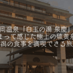 月岡温泉「白玉の湯 泉慶」に泊まって感じた極上の硫黄泉と新潟の食事を満喫できる旅館