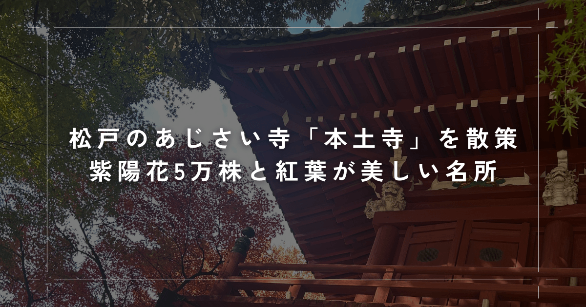 松戸のあじさい寺「本土寺」を散策｜紫陽花5万株と紅葉が美しい名所の見どころ