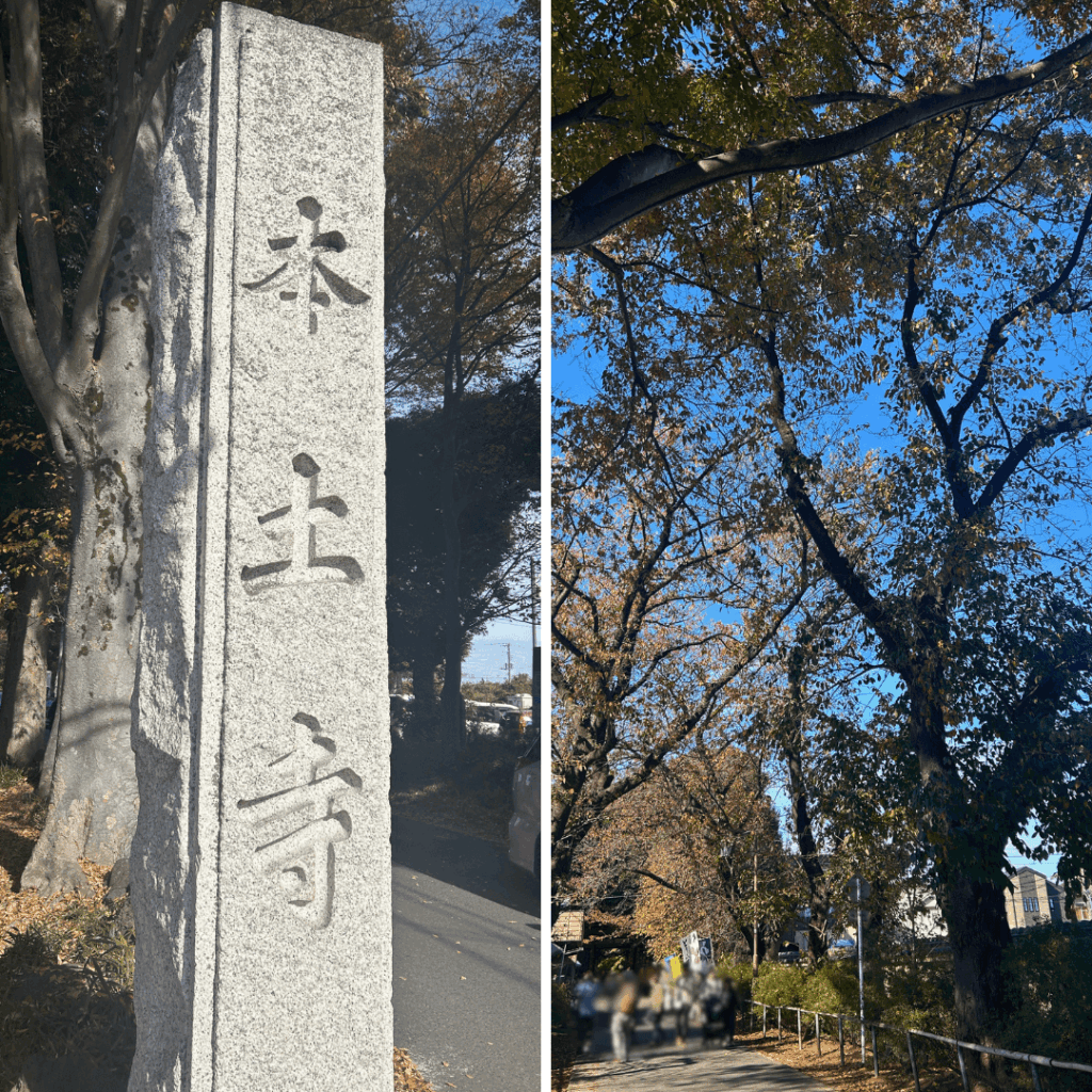 本土寺までの道